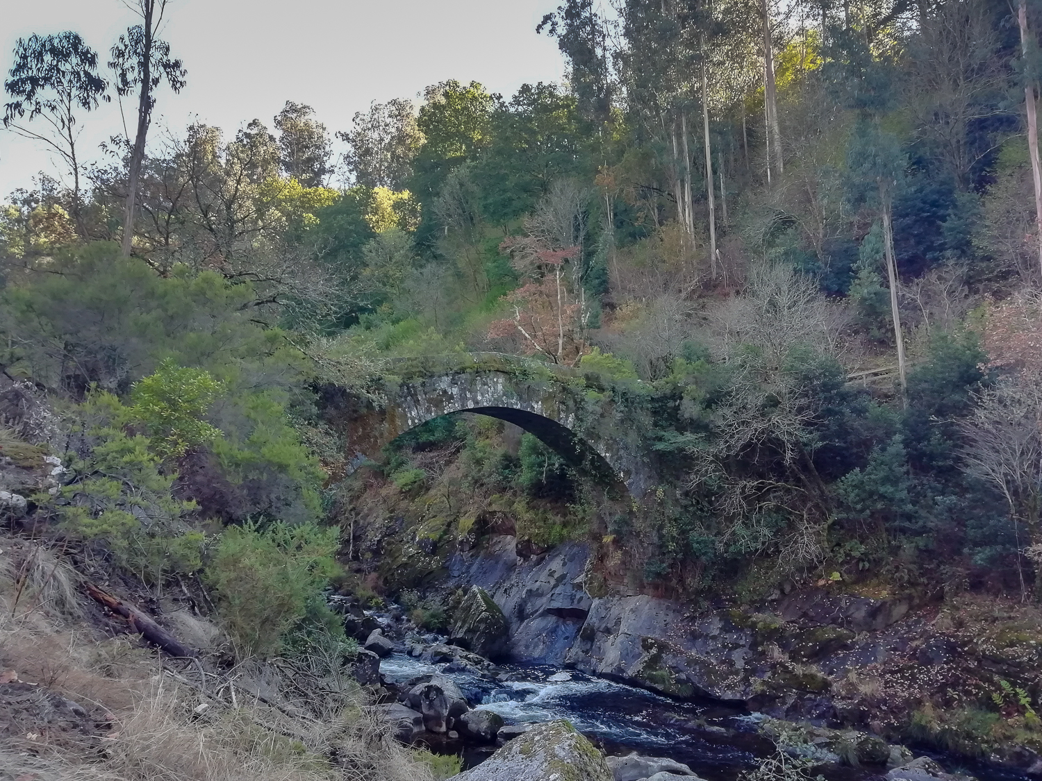 Pontes do Lerez Sendero Galicia